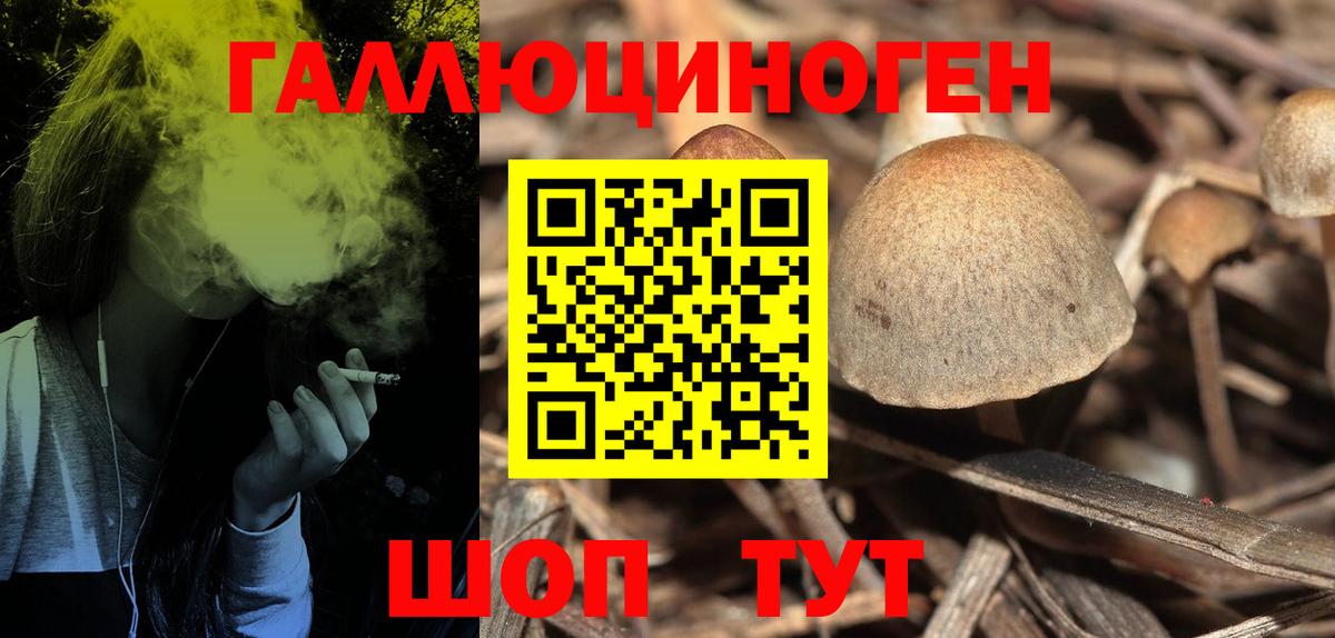 Псилоцибиновые грибы Cubensis  Вход с VPN  Новосибирск 